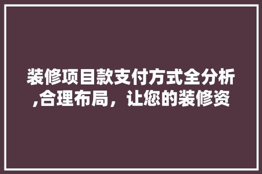 装修项目款支付方式全分析,合理布局，让您的装修资金安全无忧