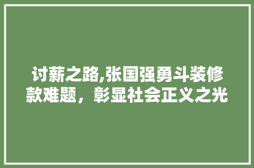 讨薪之路,张国强勇斗装修款难题，彰显社会正义之光 讨薪之路,张国强勇斗装修款难题，彰显社会正义之光 MI家设计指南