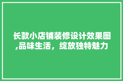 长款小店铺装修设计效果图,品味生活，绽放独特魅力 长款小店铺装修设计效果图,品味生活，绽放独特魅力 MI家设计指南