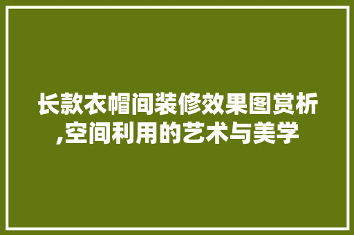长款衣帽间装修效果图赏析,空间利用的艺术与美学 长款衣帽间装修效果图赏析,空间利用的艺术与美学 MI家装修攻略