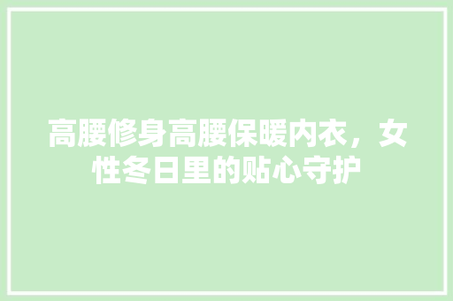 高腰修身高腰保暖内衣，女性冬日里的贴心守护