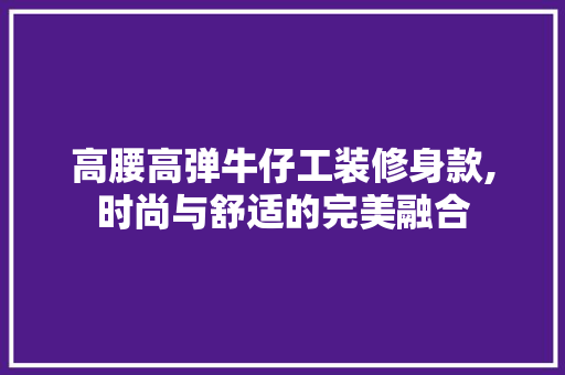 高腰高弹牛仔工装修身款,时尚与舒适的完美融合 高腰高弹牛仔工装修身款,时尚与舒适的完美融合 MI家装修经验