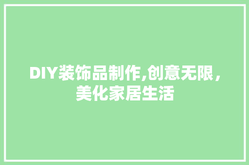 DIY装饰品制作,创意无限，美化家居生活(diy装饰品制作,创意无限,美化家居生活)