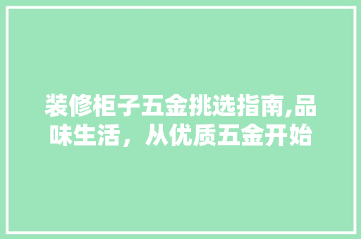 装修柜子五金挑选指南,品味生活，从优质五金开始 装修柜子五金挑选指南,品味生活，从优质五金开始 MI家公司推荐