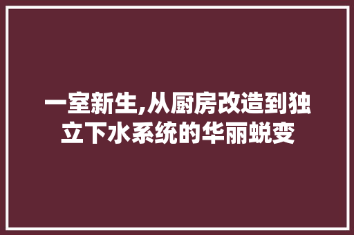 一室新生,从厨房改造到独立下水系统的华丽蜕变(单独改造自家厨房下水管道)