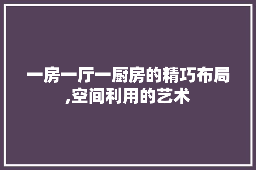 一房一厅一厨房的精巧布局,空间利用的艺术
