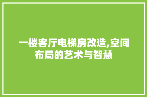 一楼客厅电梯房改造,空间布局的艺术与智慧
