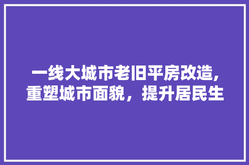 一线大城市老旧平房改造,重塑城市面貌，提升居民生活品质