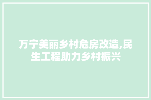万宁美丽乡村危房改造,民生工程助力乡村振兴