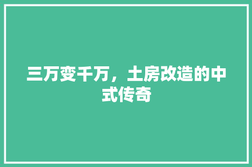 三万变千万，土房改造的中式传奇