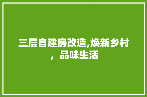 三层自建房改造,焕新乡村，品味生活