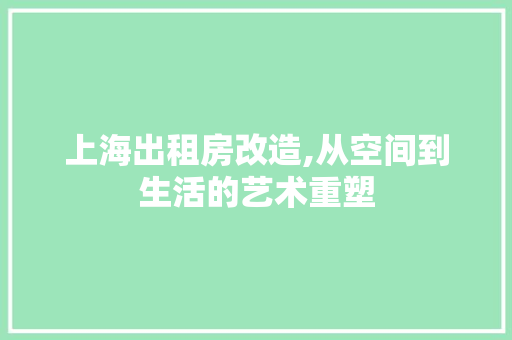 上海出租房改造,从空间到生活的艺术重塑