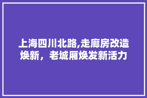 上海四川北路,走廊房改造焕新，老城厢焕发新活力 MI家公司推荐