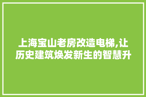 上海宝山老房改造电梯,让历史建筑焕发新生的智慧升级