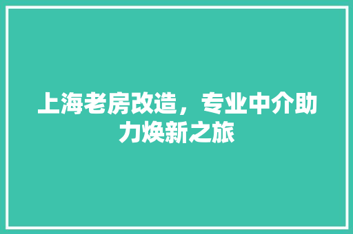上海老房改造，专业中介助力焕新之旅(上海老房翻新改造)