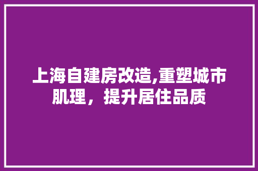 上海自建房改造,重塑城市肌理，提升居住品质