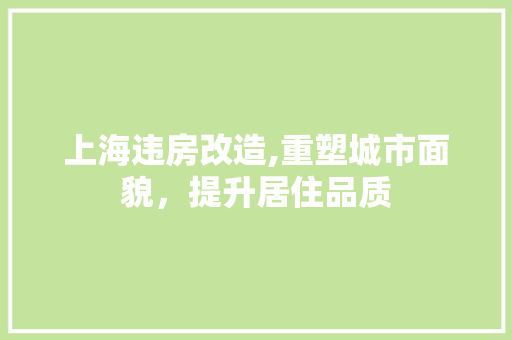 上海违房改造,重塑城市面貌，提升居住品质