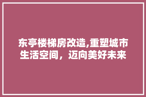 东亭楼梯房改造,重塑城市生活空间，迈向美好未来(亭子楼梯)