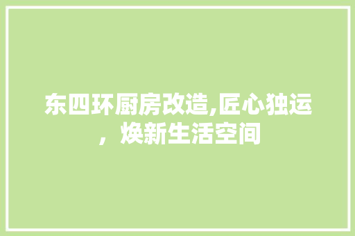 东四环厨房改造,匠心独运，焕新生活空间