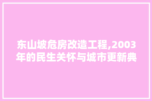 东山坡危房改造工程,2003年的民生关怀与城市更新典范