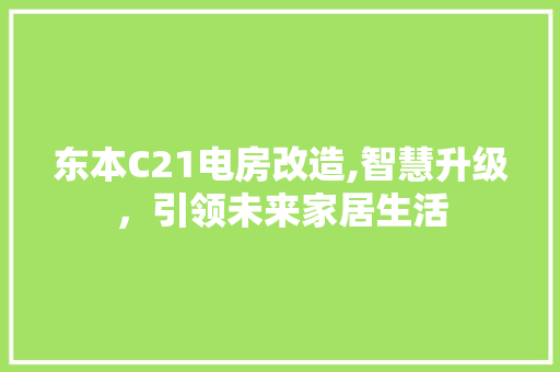 东本C21电房改造,智慧升级，引领未来家居生活(东本电气)