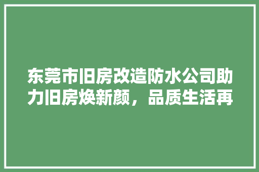 东莞市旧房改造防水公司助力旧房焕新颜，品质生活再升级