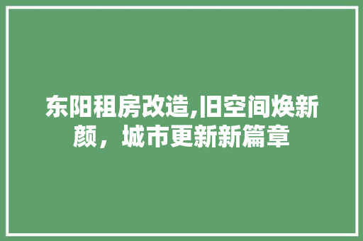 东阳租房改造,旧空间焕新颜，城市更新新篇章