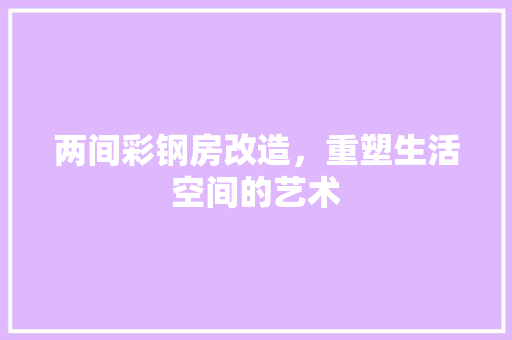 两间彩钢房改造，重塑生活空间的艺术