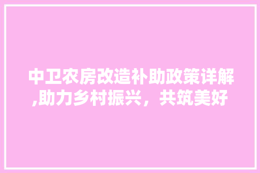 中卫农房改造补助政策详解,助力乡村振兴，共筑美好家园