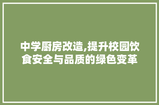 中学厨房改造,提升校园饮食安全与品质的绿色变革
