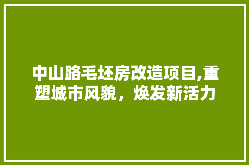 中山路毛坯房改造项目,重塑城市风貌，焕发新活力