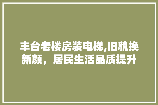 丰台老楼房装电梯,旧貌换新颜，居民生活品质提升