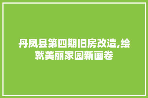 丹凤县第四期旧房改造,绘就美丽家园新画卷