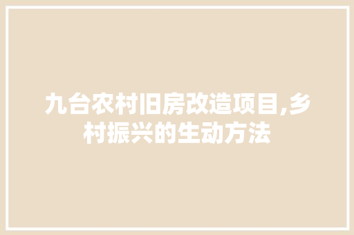 九台农村旧房改造项目,乡村振兴的生动方法
