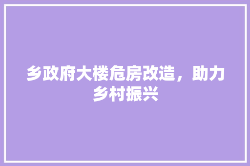 乡政府大楼危房改造，助力乡村振兴