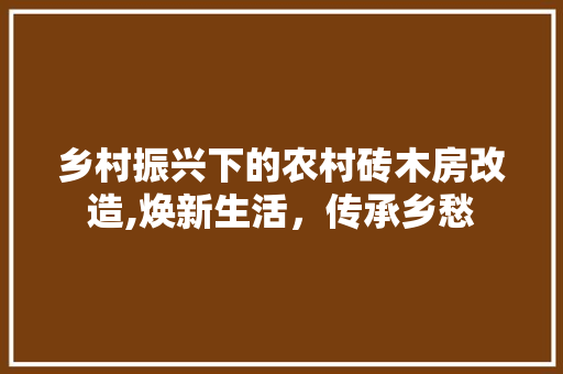 乡村振兴下的农村砖木房改造,焕新生活，传承乡愁