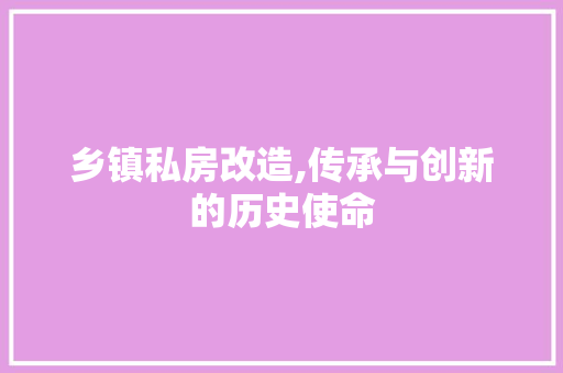 乡镇私房改造,传承与创新的历史使命