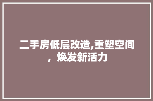 二手房低层改造,重塑空间，焕发新活力(二手房低楼层)