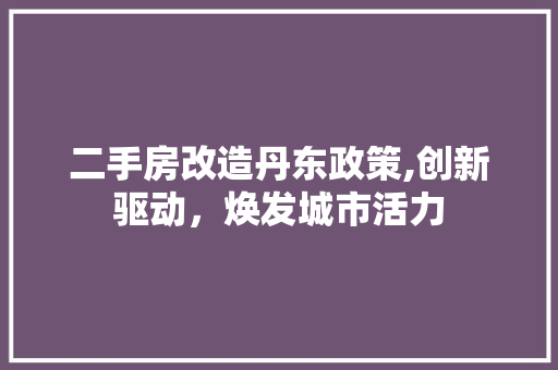 二手房改造丹东政策,创新驱动，焕发城市活力