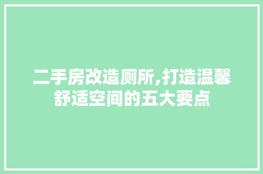 二手房改造厕所,打造温馨舒适空间的五大要点(二手房装修卫生间改造)