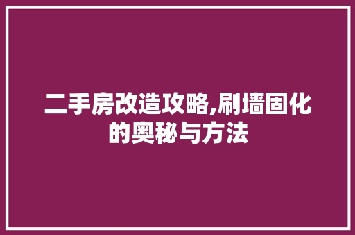 二手房改造攻略,刷墙固化的奥秘与方法