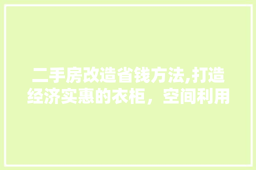 二手房改造省钱方法,打造经济实惠的衣柜，空间利用最大化(二手房衣柜改造翻新)