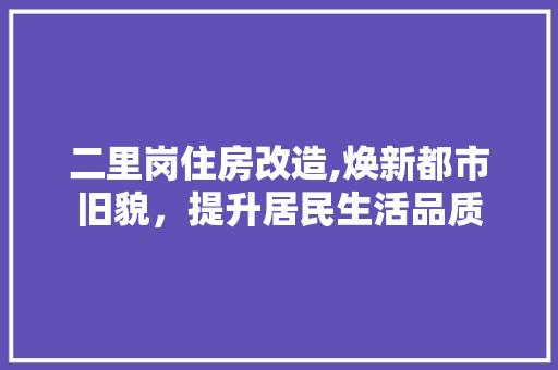 二里岗住房改造,焕新都市旧貌，提升居民生活品质 MI家设计指南