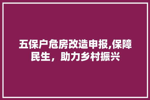五保户危房改造申报,保障民生，助力乡村振兴