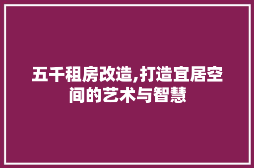 五千租房改造,打造宜居空间的艺术与智慧 MI家装修攻略