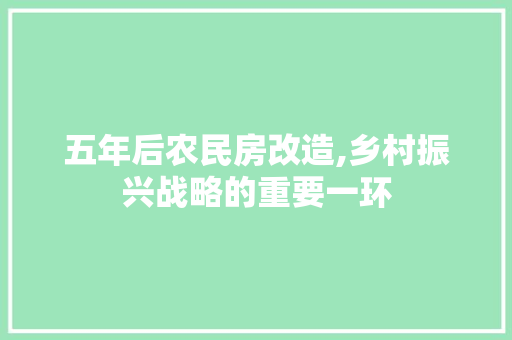五年后农民房改造,乡村振兴战略的重要一环