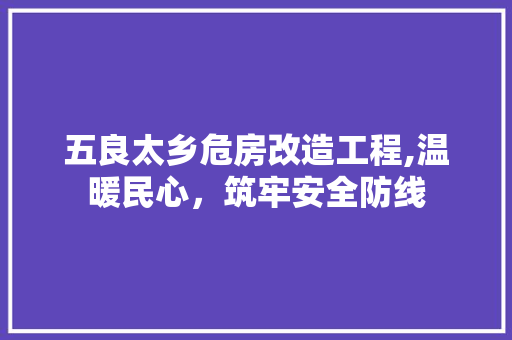 五良太乡危房改造工程,温暖民心，筑牢安全防线