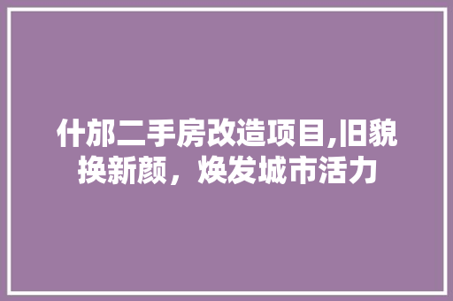 什邡二手房改造项目,旧貌换新颜，焕发城市活力 MI家设计指南