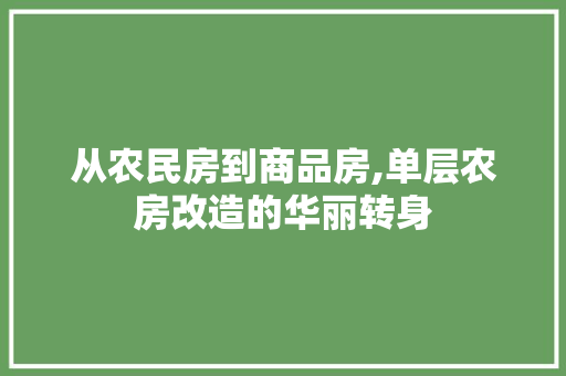 从农民房到商品房,单层农房改造的华丽转身