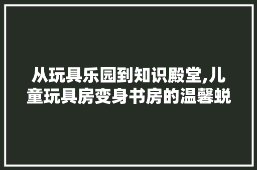 从玩具乐园到知识殿堂,儿童玩具房变身书房的温馨蜕变
